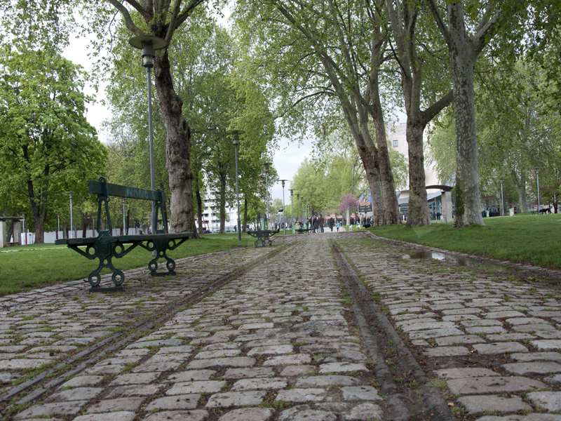 Giardini/780_parc de bercy - Paris.jpg